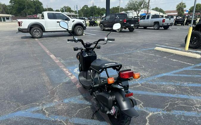 2024 Honda® Ruckus