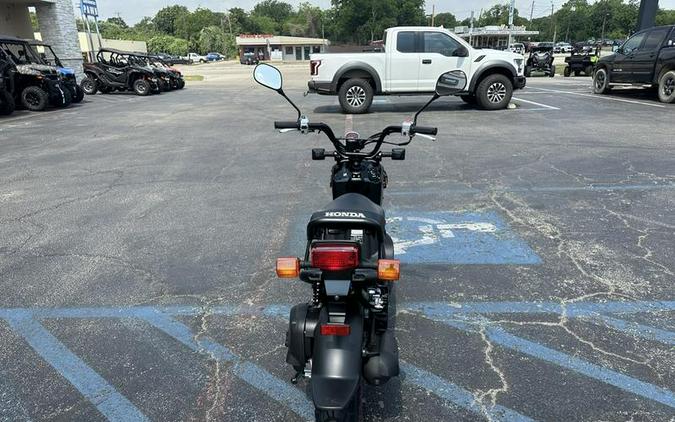 2024 Honda® Ruckus