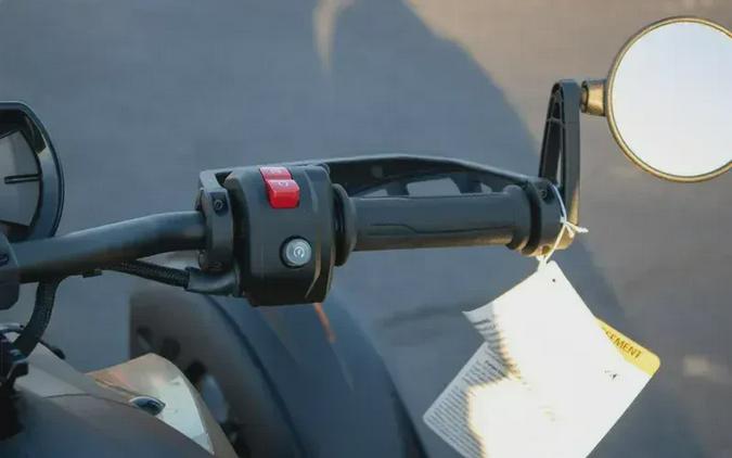 2026 CAN-AM RYKER RALLY 900 ACE