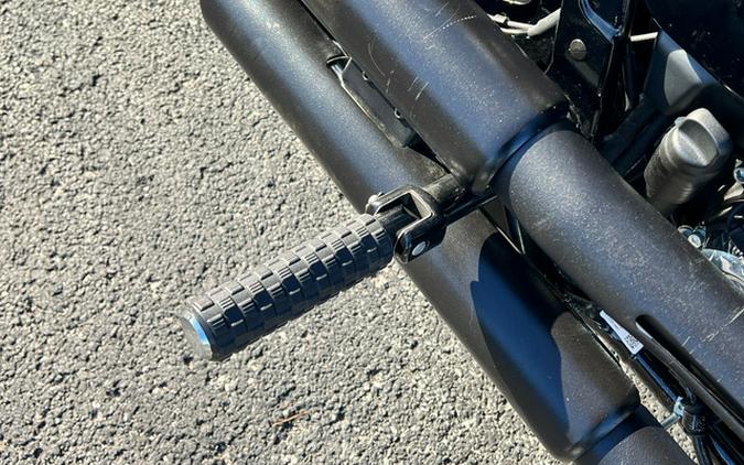 2025 Harley-Davidson FLFB - Fat Boy