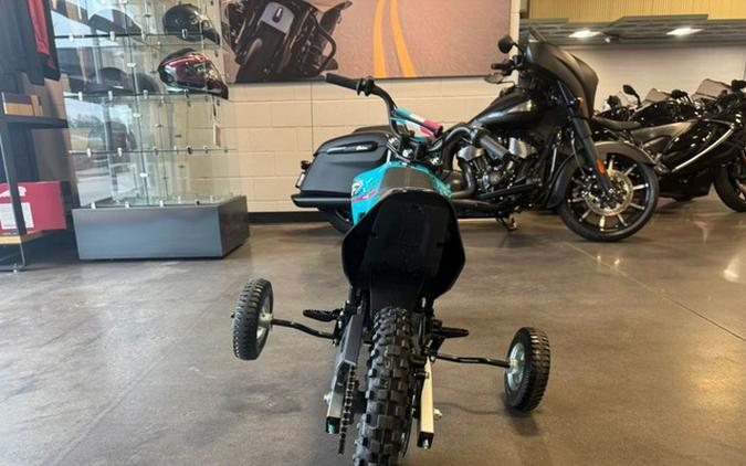 2026 CFMOTO CFX-2E