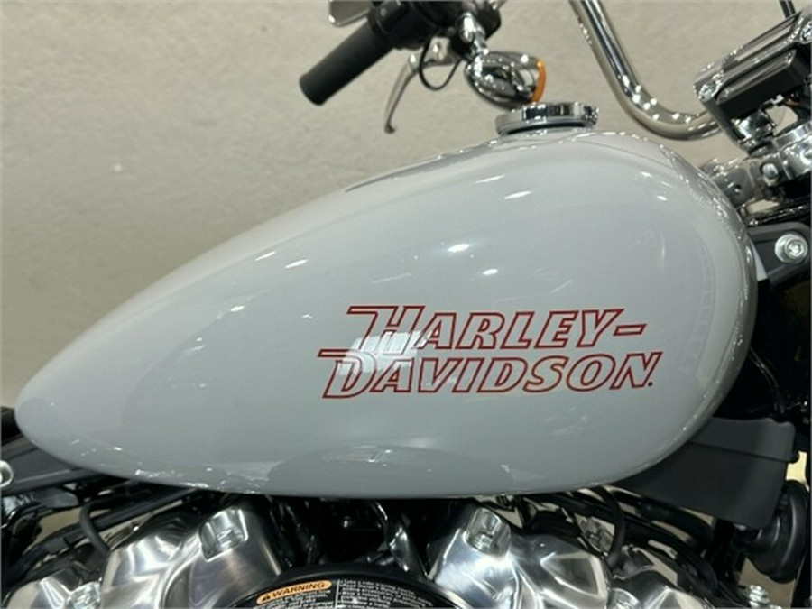 Harley-Davidson Softail Standard 2024 FXST 84376787 BILLIARD GRAY