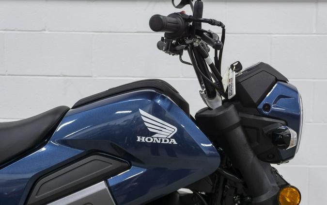 2024 Honda® Navi Blue Metallic