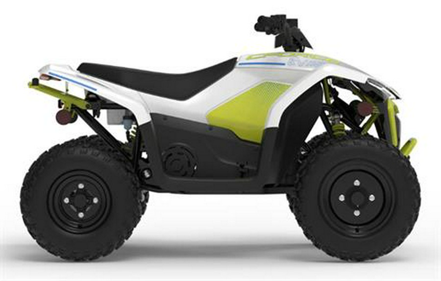 2024 CFMOTO CForce EV110