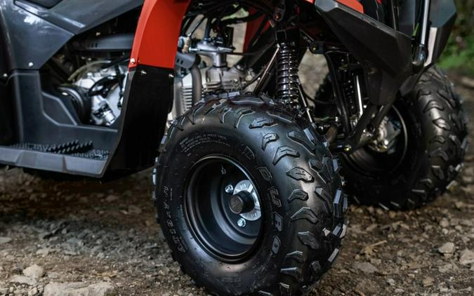 2025 Yamaha Grizzly 110