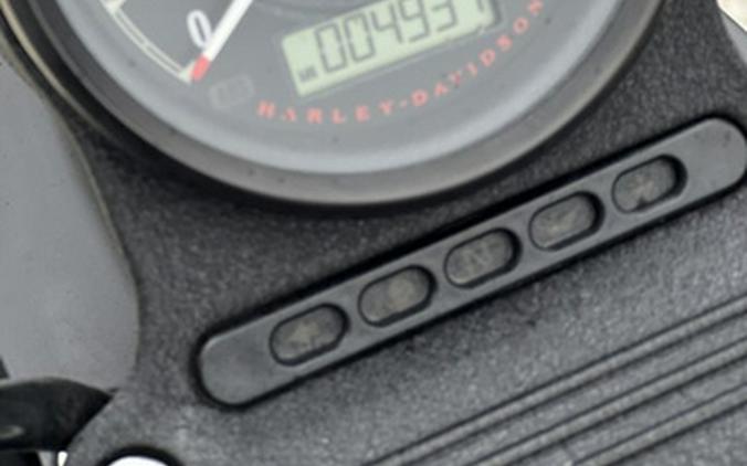 2022 Harley-Davidson XL883N - Iron 883