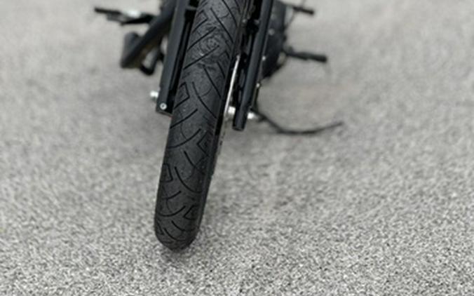 2022 Harley-Davidson XL883N - Iron 883