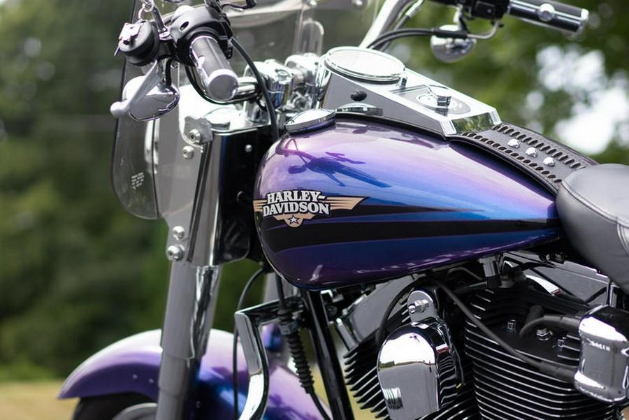2010 Harley-Davidson® FLSTF - Softail® Fat Boy®