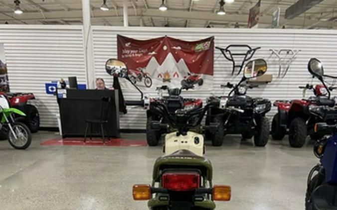 2024 Honda Ruckus