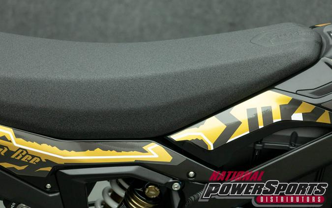 2025 SURRON ULTRA BEE
