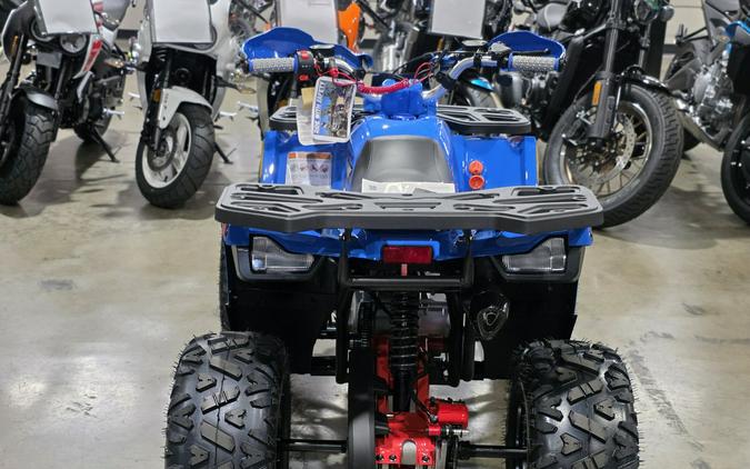 2026 Denago Powersports Mudhawk 10FI