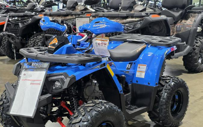 2026 Denago Powersports Mudhawk 10FI