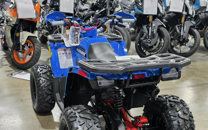 2026 Denago Powersports Mudhawk 10FI