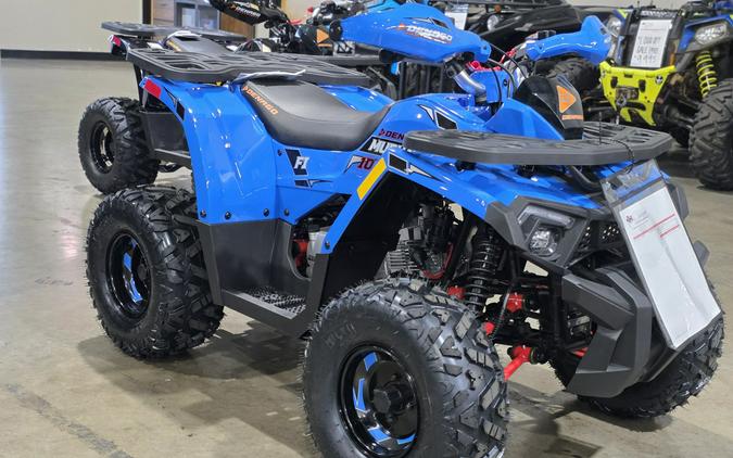 2026 Denago Powersports Mudhawk 10FI