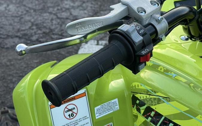 2026 Yamaha Raptor 700R SE