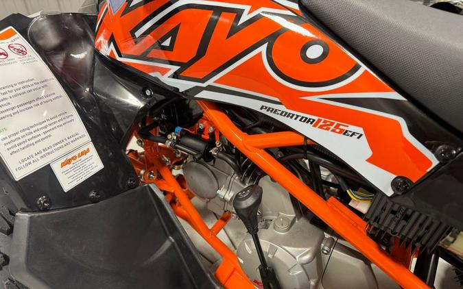 2026 Kayo Predator 125 EFI