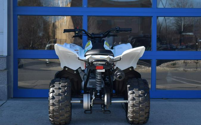 2023 Yamaha Raptor 90