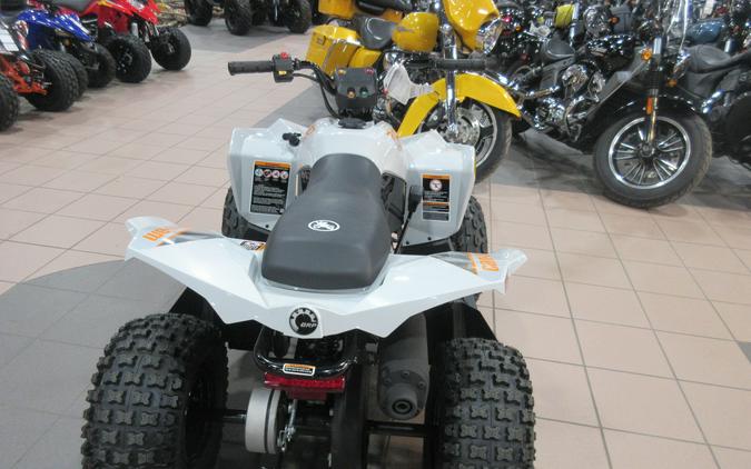 2027 CAN-AM RENEGADE 70 EFI