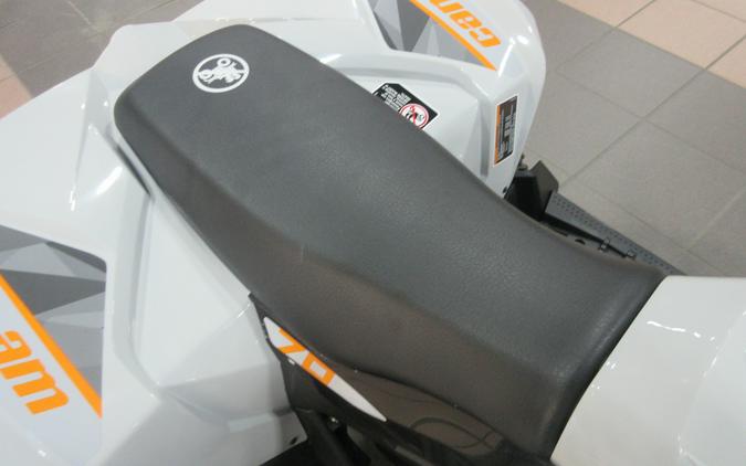2027 CAN-AM RENEGADE 70 EFI