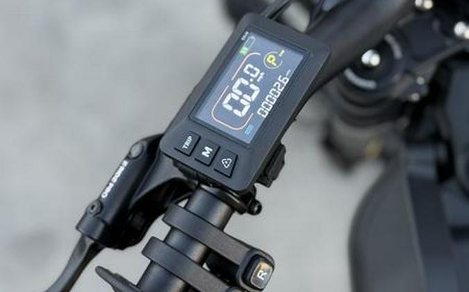 2025 E Ride Pro Mini