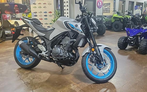 2025 Yamaha MT 03 CA