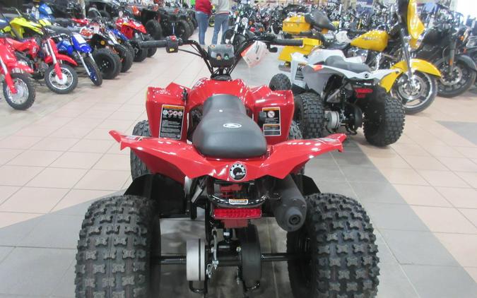2027 CAN-AM RENEGADE 110 EFI
