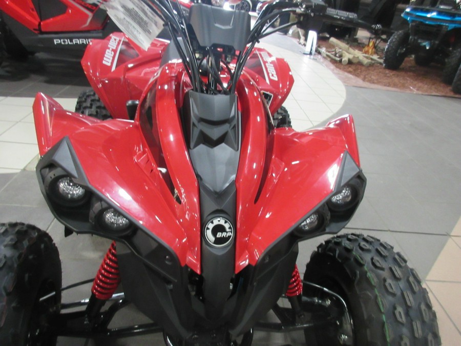 2027 CAN-AM RENEGADE 110 EFI