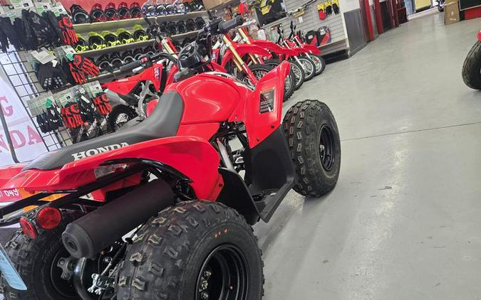 2026 Honda® TRX90X