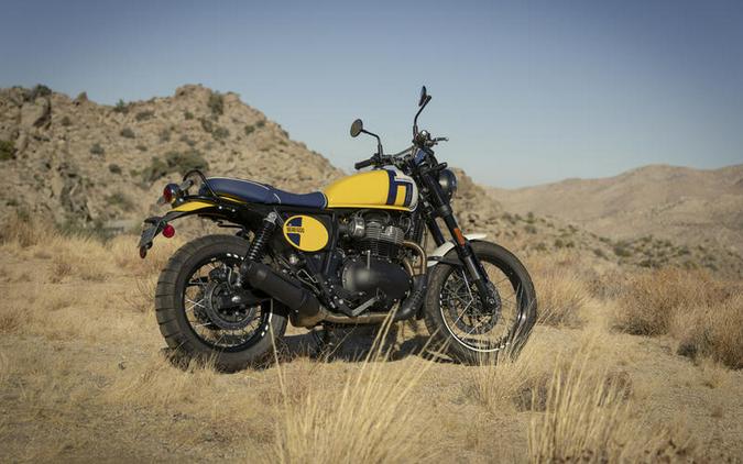 2026 Royal Enfield Bear 650 Wild Honey