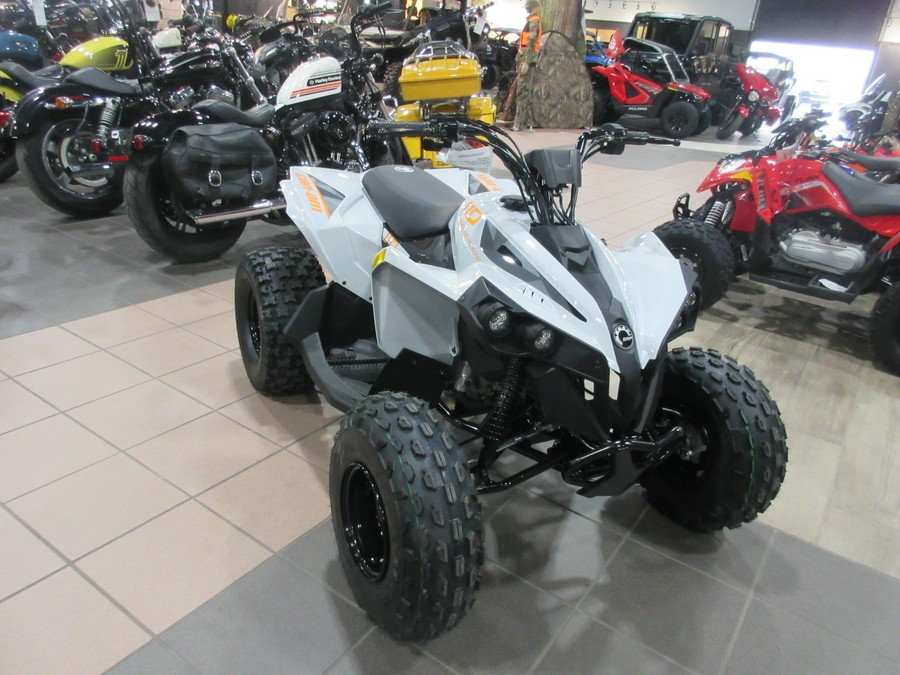 2027 CAN-AM RENEGADE 110 EFI