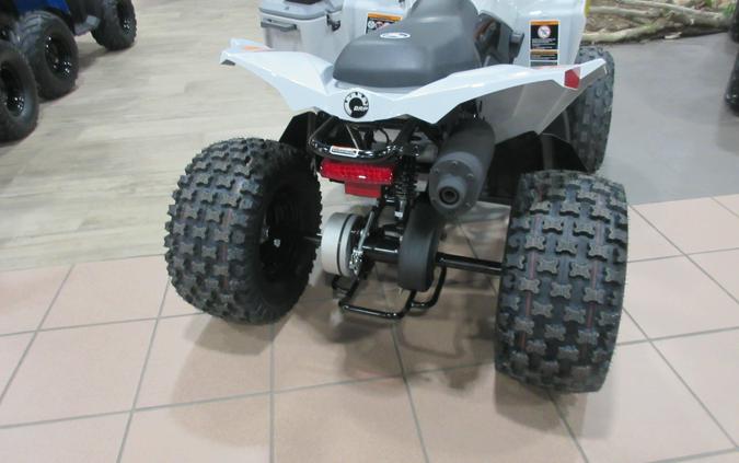 2027 CAN-AM RENEGADE 110 EFI