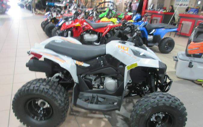 2027 CAN-AM RENEGADE 110 EFI