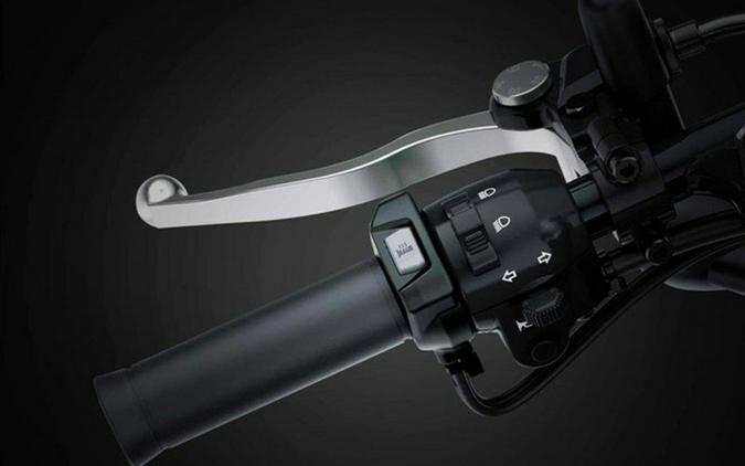 2025 Kawasaki W 800 ABS