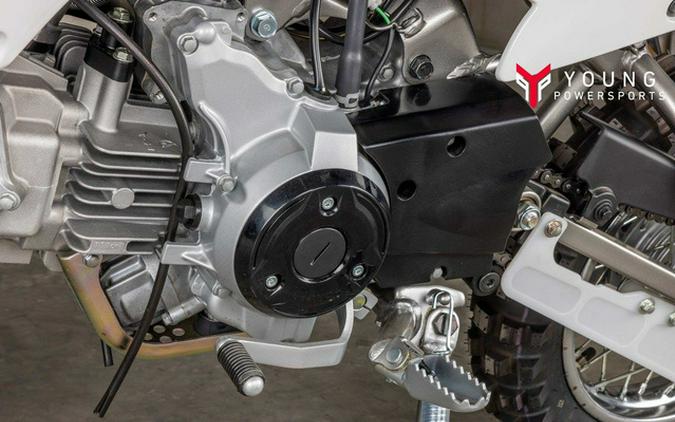2026 Kawasaki KLX 110R L
