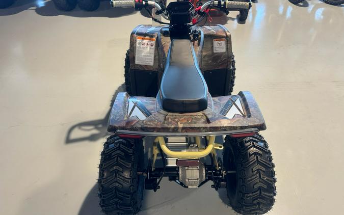 2026 Denago Powersports E-Hawk 6