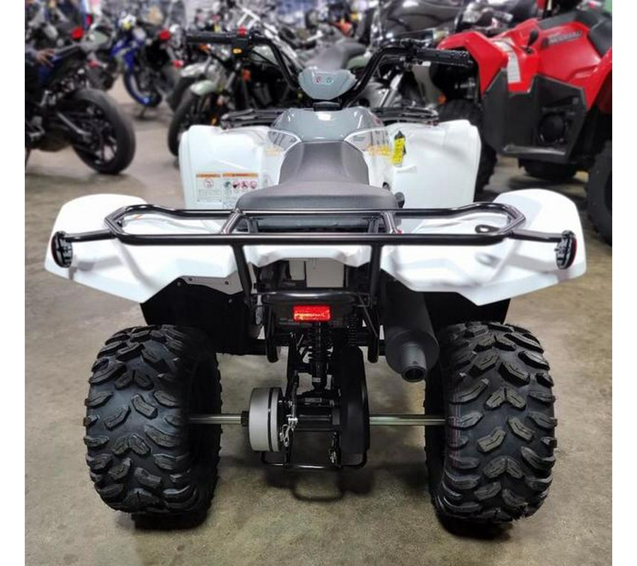 2024 Yamaha Grizzly 90