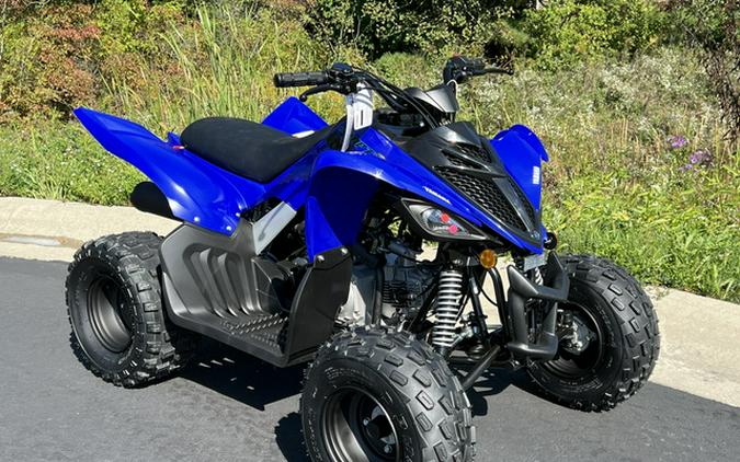 2025 Yamaha Raptor 110 (YFM01RYXSL)