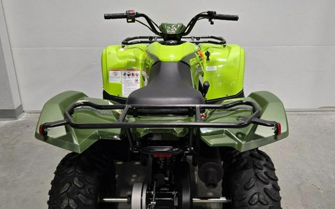 2026 Yamaha Grizzly 110