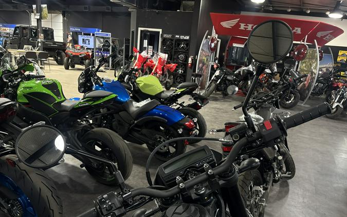 2026 Kawasaki KLX 300SM