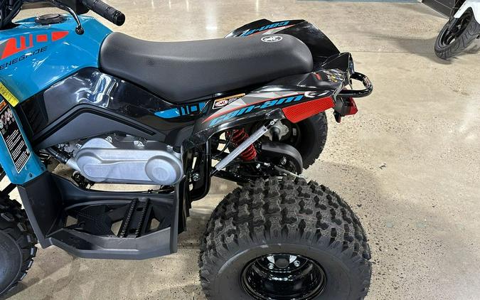 2024 Can-Am® Renegade 110 EFI