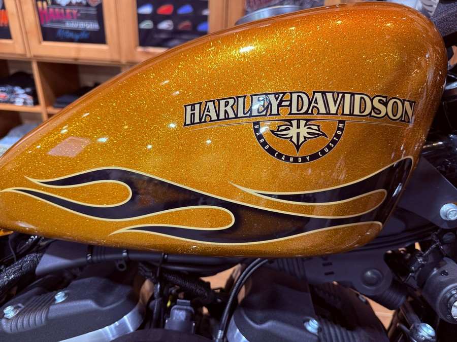 2016 Harley-Davidson Iron 883™