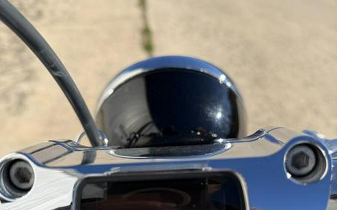 2024 Harley-Davidson® FXST - Softail® Standard