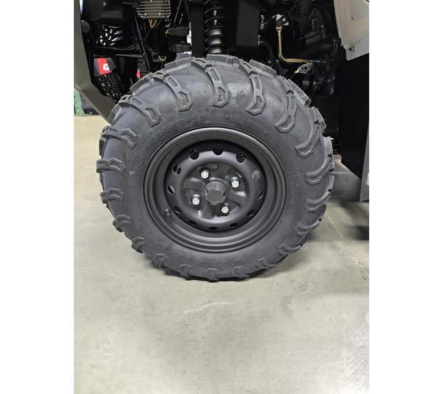 2025 BRUTE FORCE 450 4X4