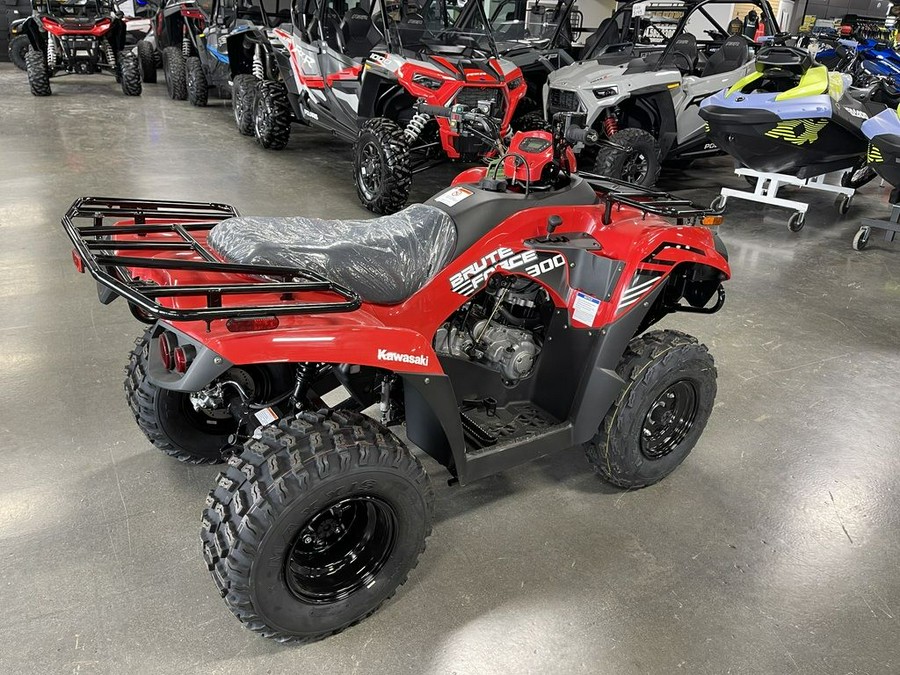 2024 Kawasaki Brute Force® 300
