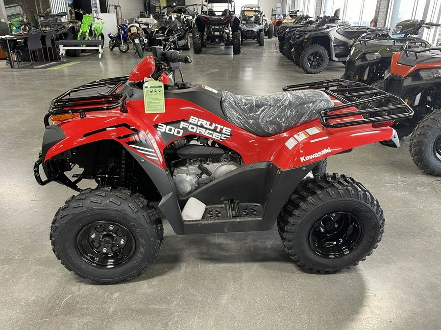 2024 Kawasaki Brute Force® 300