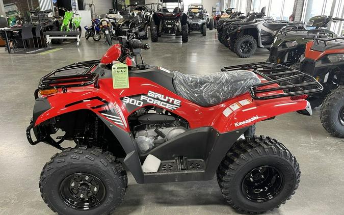 2024 Kawasaki Brute Force® 300