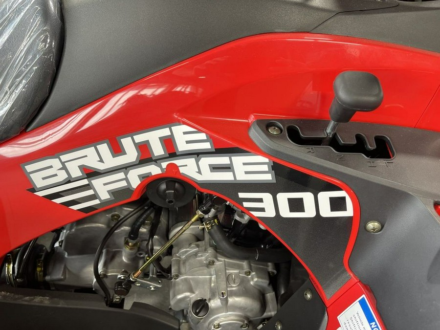 2024 Kawasaki Brute Force® 300