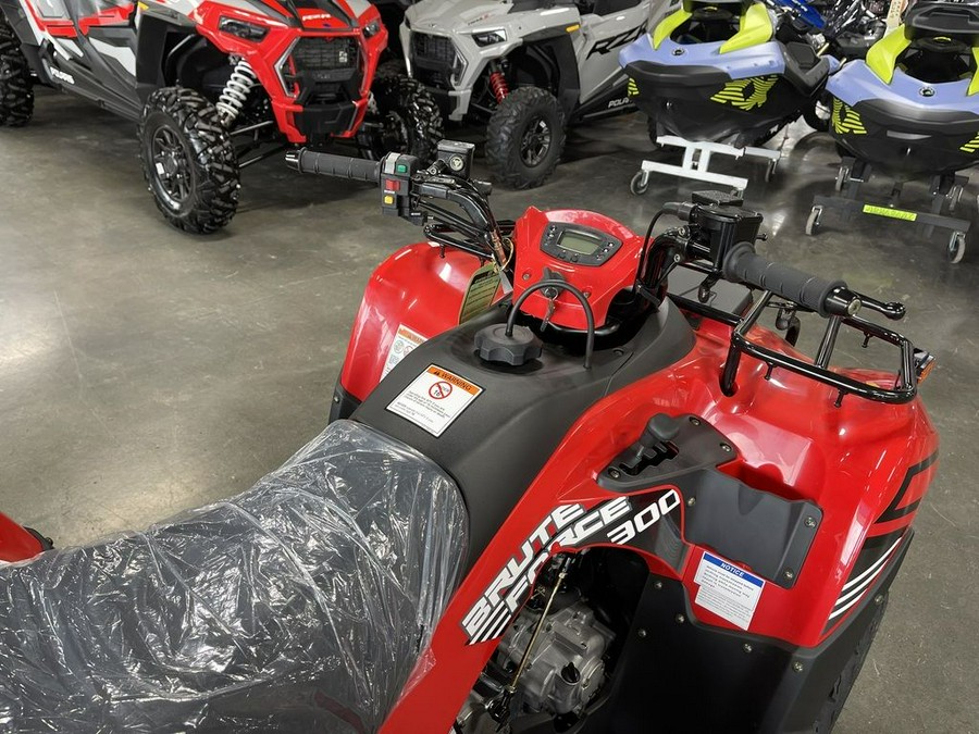 2024 Kawasaki Brute Force® 300