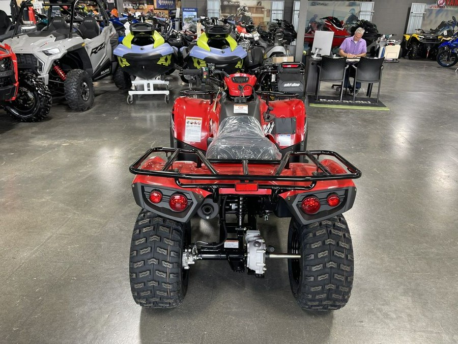 2024 Kawasaki Brute Force® 300