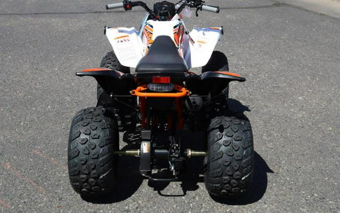 2026 Kayo Storm 150 EFI